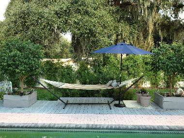 lazy hammock in our tropical backyard