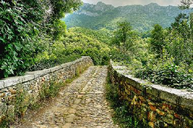 Holiday Apartment in CAMPO DE CASO (Asturias) or holiday homes and vacation rentals