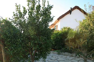 Holiday House in Tarifa (C�diz) or holiday homes and vacation rentals