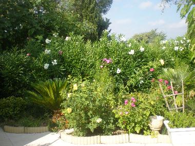 Villa in VIDAUBAN (Var) or holiday homes and vacation rentals