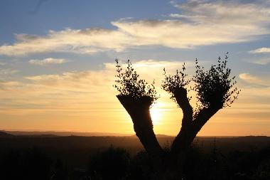 Villa in Portela de Vila Verde (Oeste) or holiday homes and vacation rentals