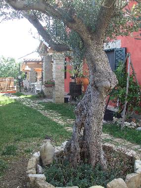 Holiday Apartment in Lanciano (Chieti) or holiday homes and vacation rentals