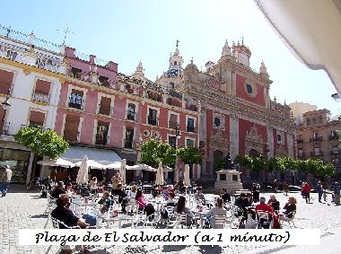 Holiday Apartment in Sevilla (Sevilla) or holiday homes and vacation rentals
