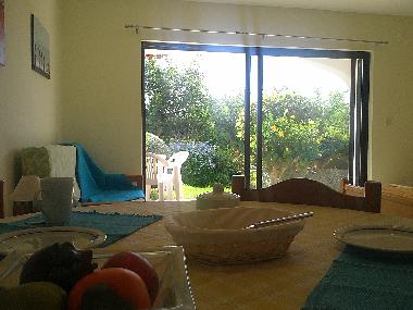 Holiday Apartment in Albufeira (Algarve) or holiday homes and vacation rentals