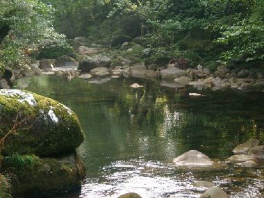 Vez River with crystaline waters
