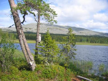 Holiday House in �k�slompolo (Lappi) or holiday homes and vacation rentals