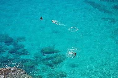Holiday Apartment in Nard (Lecce) or holiday homes and vacation rentals