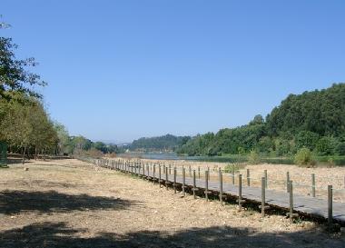 Mono near the Minho River