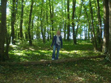 Holiday House in issigeac (Dordogne) or holiday homes and vacation rentals