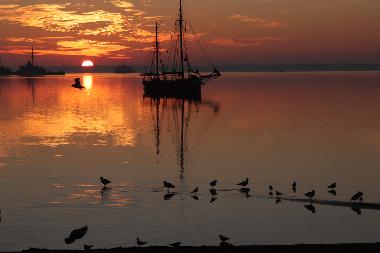 Holiday Apartment in Eckernfrde (Ostsee-Festland) or holiday homes and vacation rentals