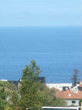 Holiday Apartment in Puerto de la Cruz (Teneriffa) or holiday homes and vacation rentals