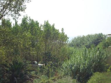 Bed and Breakfast in Gardeno (Kerkyra) or holiday homes and vacation rentals