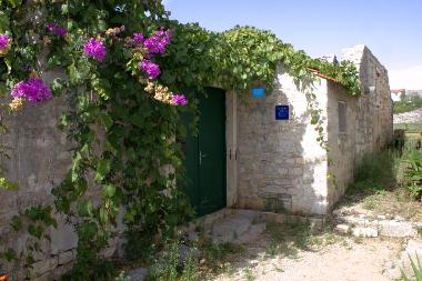 Holiday House in Grohote (Splitsko-Dalmatinska) or holiday homes and vacation rentals