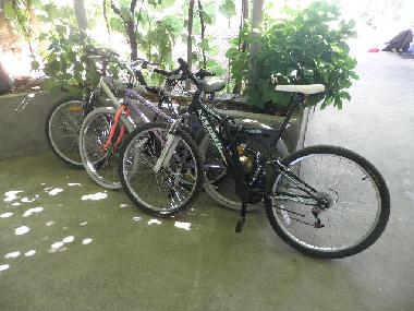 Holiday House in Grohote (Splitsko-Dalmatinska) or holiday homes and vacation rentals