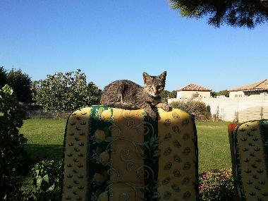 Holiday House in Chiclana (Cdiz) or holiday homes and vacation rentals