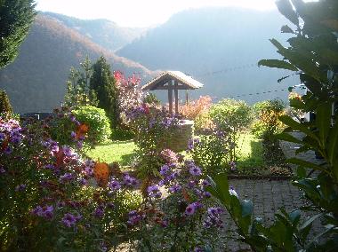 Holiday Apartment in Waldbreitbach (Westerwald) or holiday homes and vacation rentals