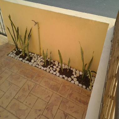 Holiday House in LARNACA (Larnaca) or holiday homes and vacation rentals