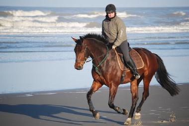 horse riding on the beach