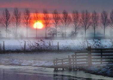 winter in the polder