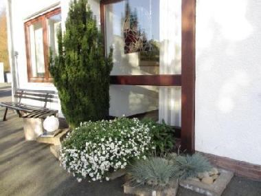Holiday Apartment in Hatzfeld/Eder (Waldecker Land) or holiday homes and vacation rentals