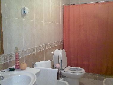 Holiday Apartment in Albufeira (Algarve) or holiday homes and vacation rentals