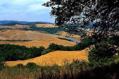 Bed and Breakfast in Belforte Radicondoli (Siena) or holiday homes and vacation rentals