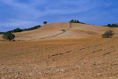 Bed and Breakfast in Belforte Radicondoli (Siena) or holiday homes and vacation rentals