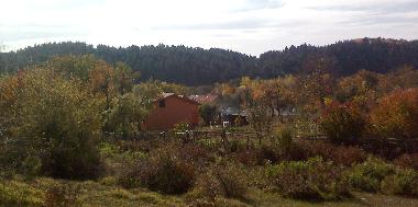 Back View of the Area