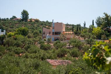 Holiday House in Kitries, Avia (Messinia) or holiday homes and vacation rentals