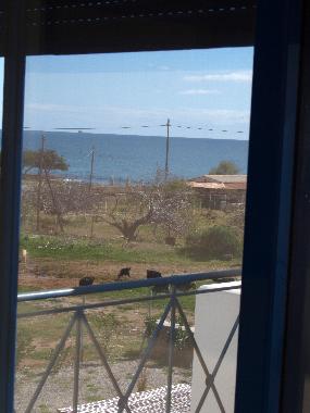 Villa in Lindos (Dodekanisos) or holiday homes and vacation rentals