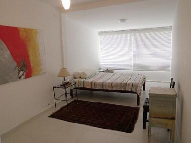 Holiday Apartment in Rio de Janeiro (Rio de Janeiro) or holiday homes and vacation rentals