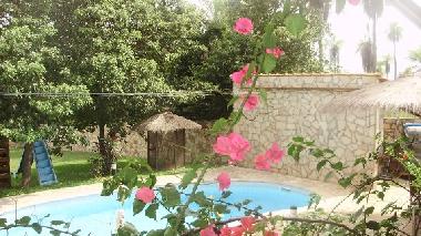 Holiday House in Nueva Colombia  (Cordillera) or holiday homes and vacation rentals