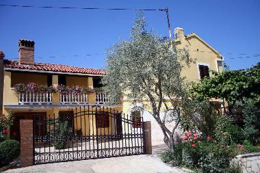 Holiday House in Zminj (Istarska) or holiday homes and vacation rentals