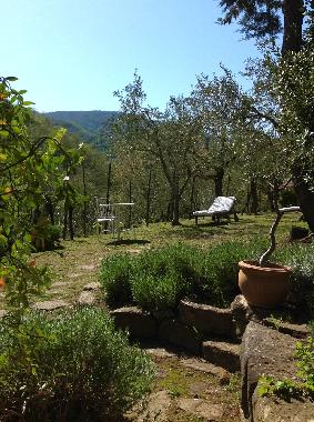 Holiday House in 52031 (Arezzo) or holiday homes and vacation rentals