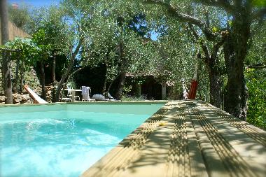 Holiday House in 52031 (Arezzo) or holiday homes and vacation rentals