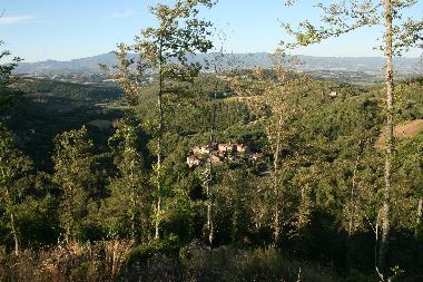 Holiday House in 52031 (Arezzo) or holiday homes and vacation rentals