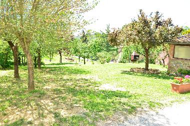 Bed and Breakfast in Lucignano (Arezzo) or holiday homes and vacation rentals