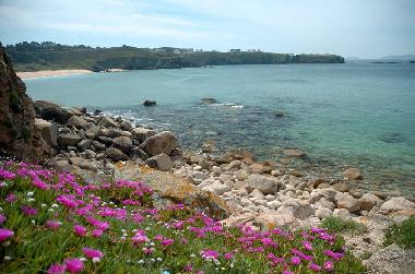 Holiday House in Cambados (Pontevedra) or holiday homes and vacation rentals