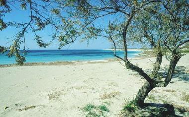 Holiday House in Suvereto (Grosseto) or holiday homes and vacation rentals