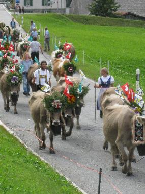 Holiday Apartment in Platta (Disentis-Sedrun) or holiday homes and vacation rentals