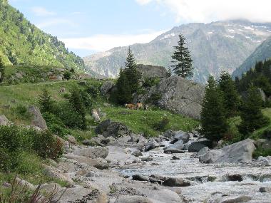 Holiday Apartment in Platta (Disentis-Sedrun) or holiday homes and vacation rentals