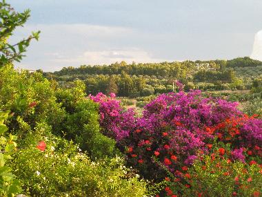 Villa in Porto Heli (Argolida) or holiday homes and vacation rentals