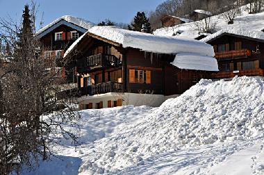 Holiday Apartment in Fiesch (Aletsch) or holiday homes and vacation rentals