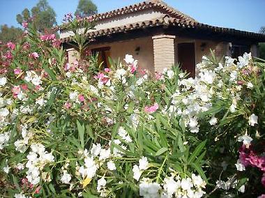 Holiday House in PULA (Cagliari) or holiday homes and vacation rentals