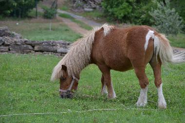 Holiday House in Saint-Br�s (Gard) or holiday homes and vacation rentals