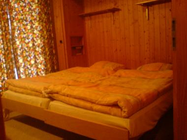 Chalet in Basse-Nendaz (Nendaz) or holiday homes and vacation rentals