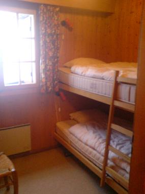 Chalet in Basse-Nendaz (Nendaz) or holiday homes and vacation rentals