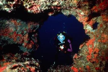 Sliema is full of good diving schools