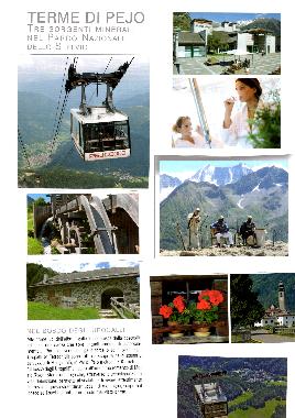 Holiday Apartment in peio (Trento) or holiday homes and vacation rentals