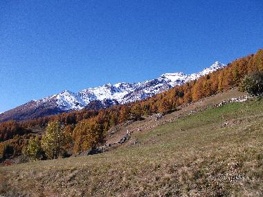 Holiday Apartment in peio (Trento) or holiday homes and vacation rentals